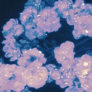 被男狂揉吃奶胸60分钟视频
