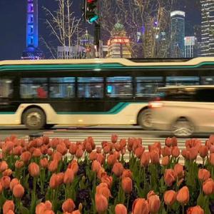 被男狂揉吃奶胸60分钟视频
